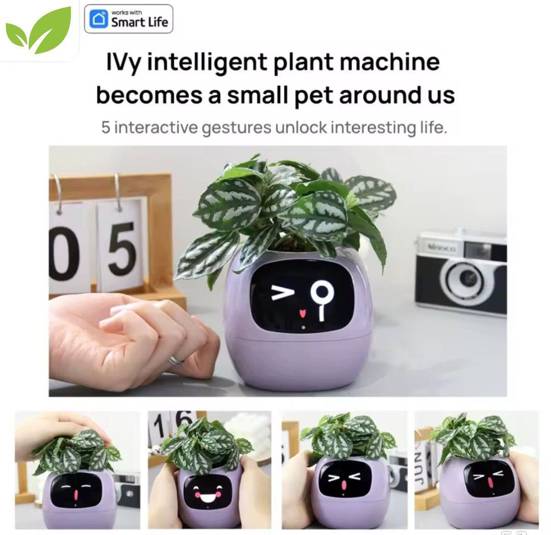 PlantiBoy