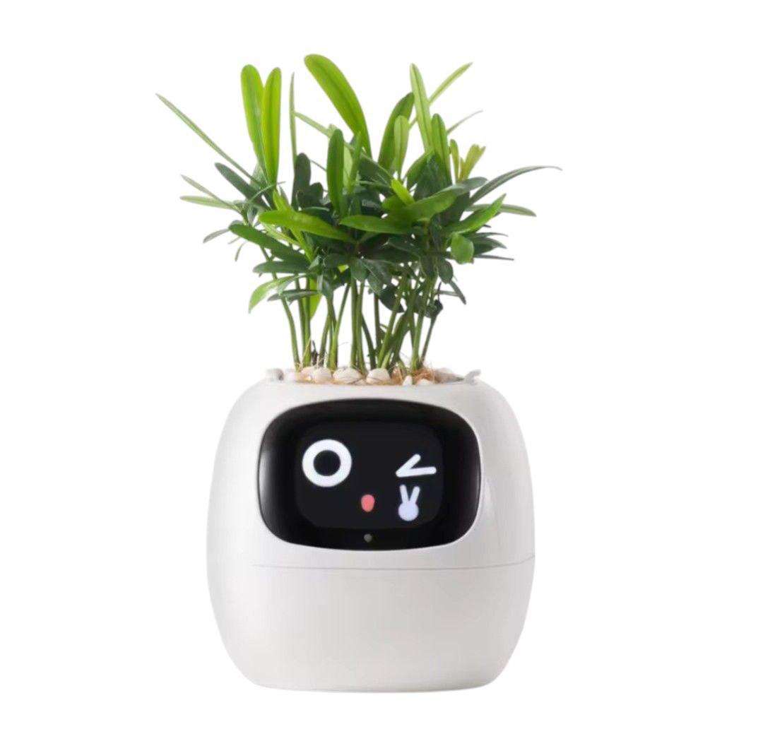 PlantiBoy