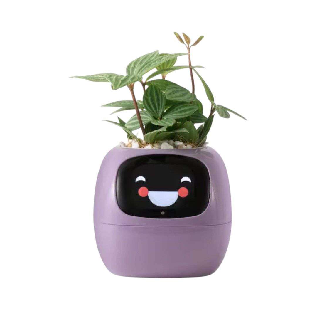 PlantiBoy