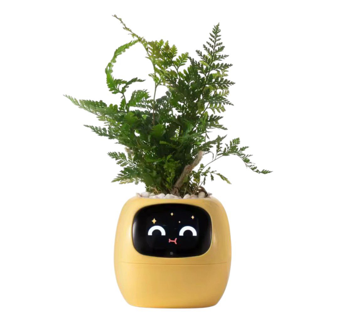 PlantiBoy