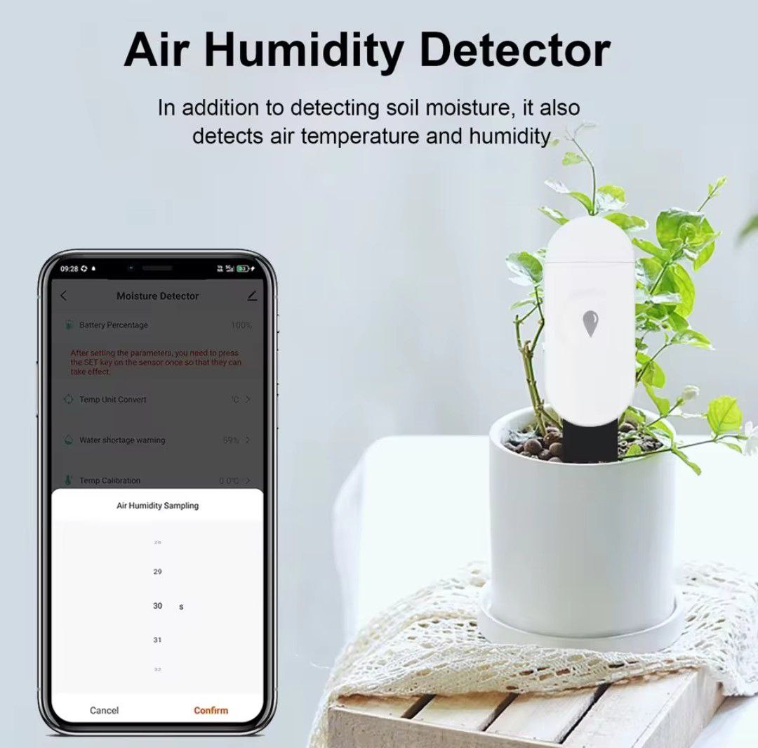 Detector