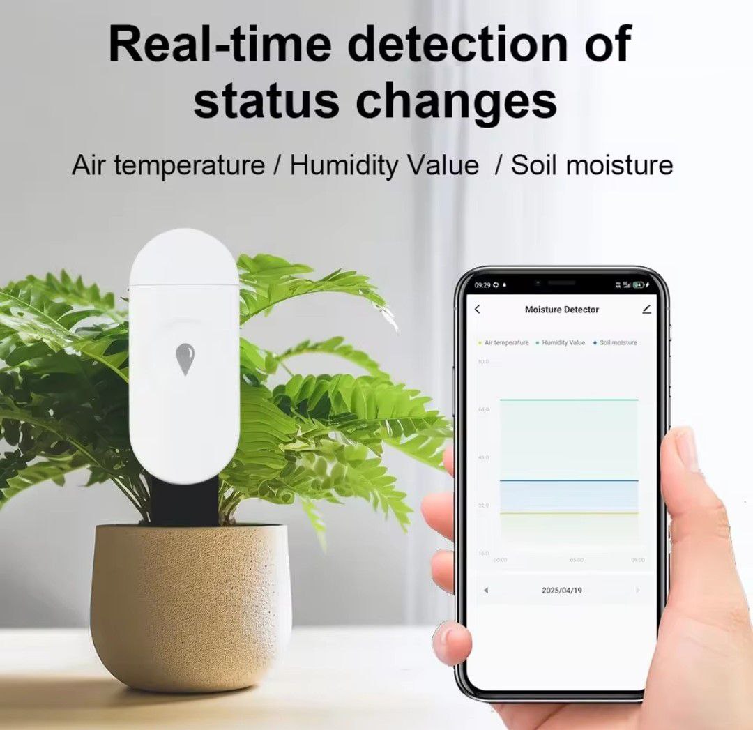 Detector