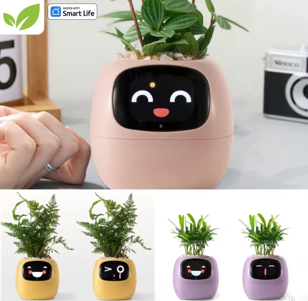 PlantiBoy
