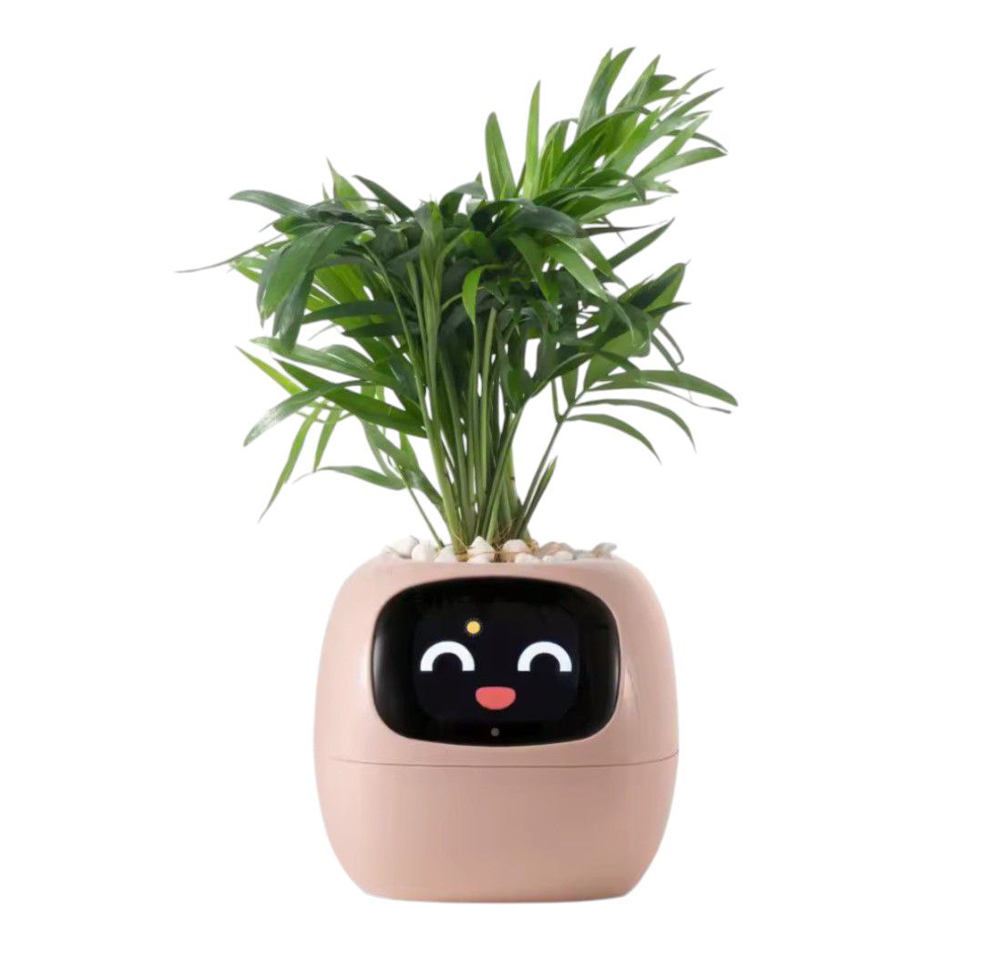 PlantiBoy